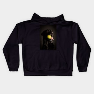 Labrador Retriever Kids Hoodie